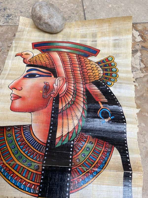 Papyrus art lot of 5 18 cm x 28cm