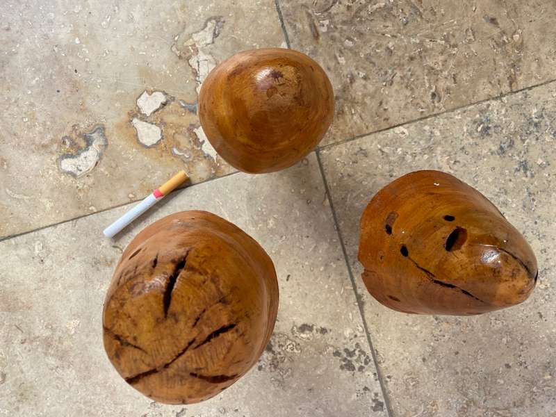 Wood mushrooms sculpture set of 3 folk art