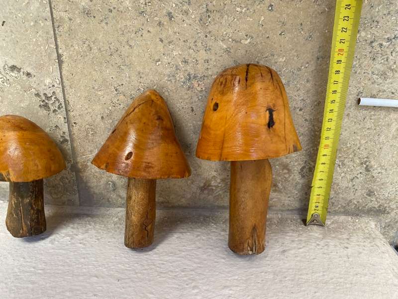 Wood mushrooms sculpture set of 3 folk art