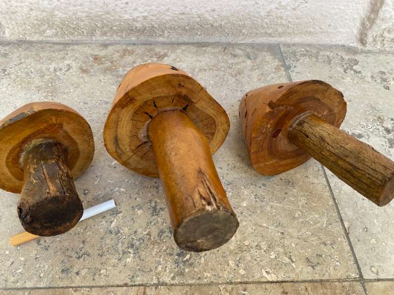 Wood mushrooms sculpture set of 3 folk art