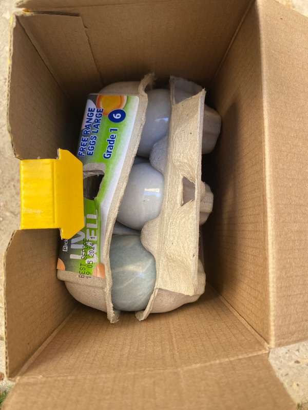 Polished precious stone egg eggs lot of 6