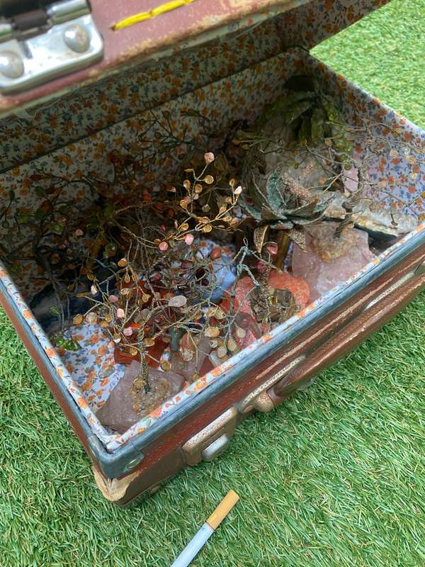Precious gem stone jewel tree lot with aloe in case