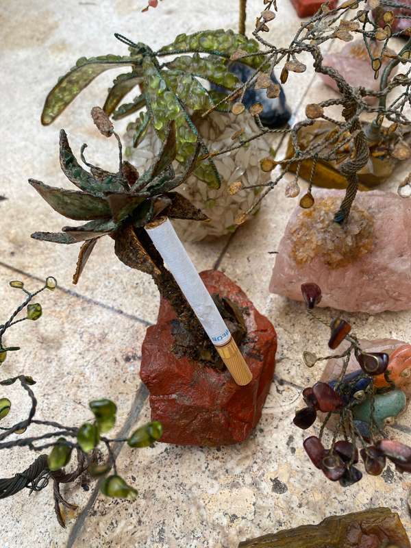 Precious gem stone jewel tree lot with aloe in case