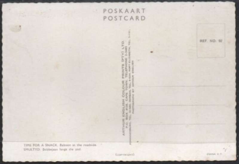 South Africa, Time for a Snack, Baboon / Bobbejaan at roadside, unused, Arthur English ( pub)