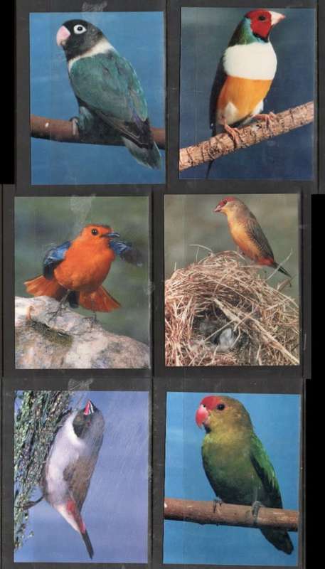 South Africa, Aviculture Reasearch Unit, 6 unused post cards