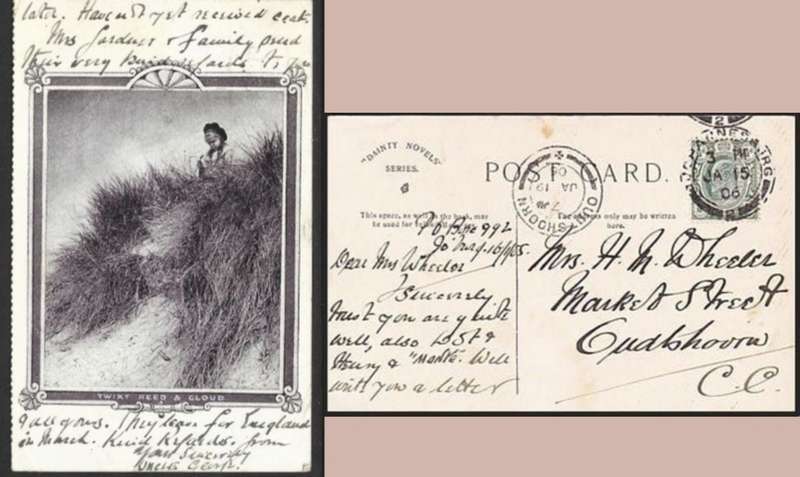 South Africa, PPC, used 1/2d JOHANNESBURG JA 15 06...c.d.s. ,> OUDTSHOORN JA 19 06