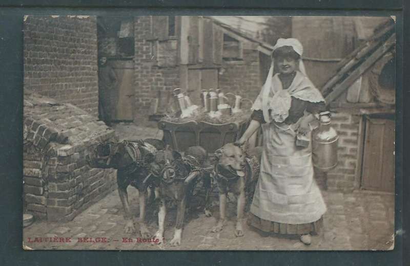 Belgium, Dairy Maid with dog cart - laitiere belge En route - used 10c, ZOUTE > London