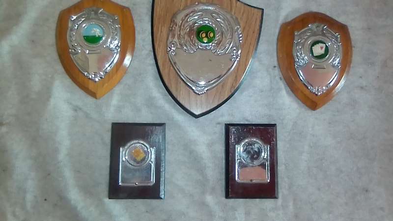 5 small sports trophies, plaques