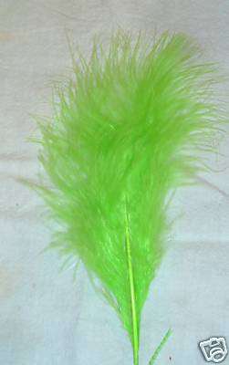 GREEN Feathers - Pack of 5