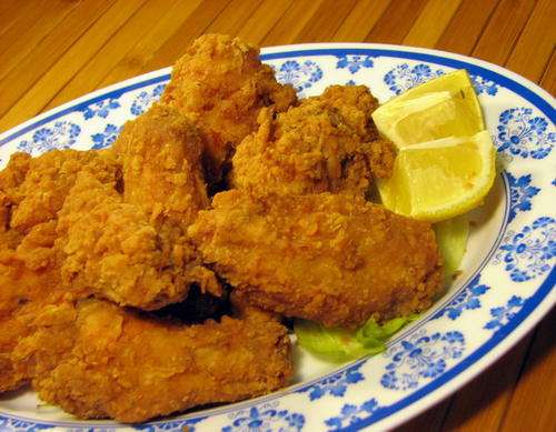 101 Deep Fryer Recipes(E-Book) - No Postage fee!!!!