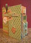 Be a Scrapbook Pro E-Book - No Postage fee!!!!