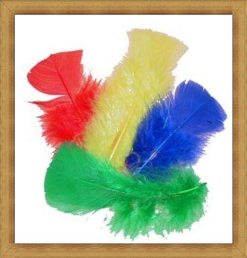 Assorted Coloured Feathers-Pack of 50(Mixed Pack)