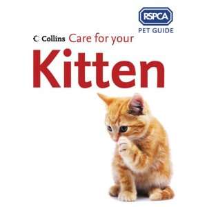 Care for your Kitten