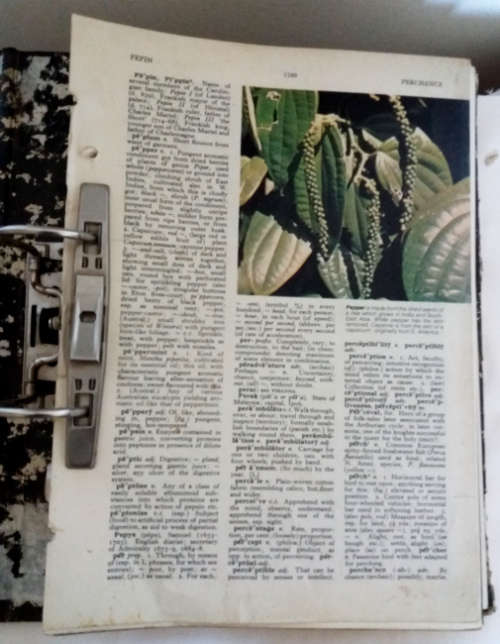 The new Oxford illustrated dictionary - complete volume in separate issues (Circa 1978)