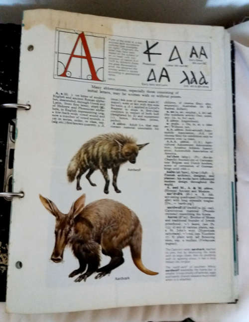 The new Oxford illustrated dictionary - complete volume in separate issues (Circa 1978)
