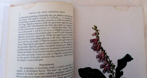 Diseases of the heart and circulation and Digitalis and other cardiotonic drugs - 2 medical books
