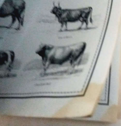 The Hamlyn Complete Art School and Animals A Picture Sourcebook