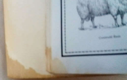 The Hamlyn Complete Art School and Animals A Picture Sourcebook