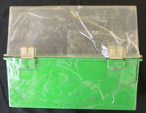 1978 Gardening card set in a box by Tree Communications Inc