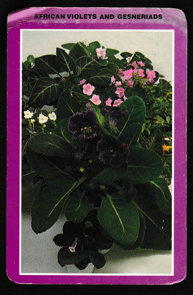 1978 Gardening card set in a box by Tree Communications Inc