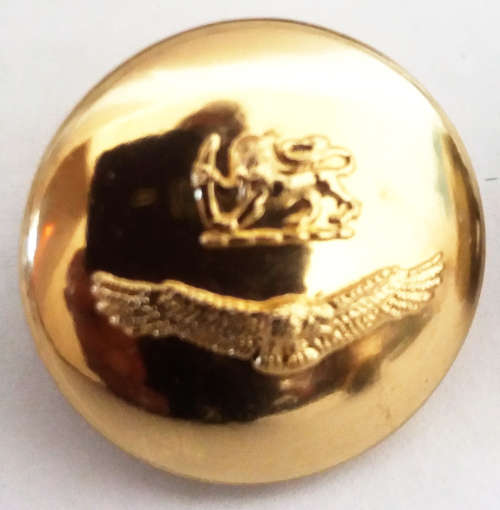 Rhodesian Air Force Cap Badge and Uniform buttons package