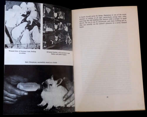 Rabbit Breeding in South Africa by Marion Keller - 7th edition 1982