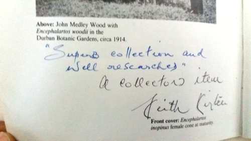 The Cycad Collection  - signed copy by Keith Kisten