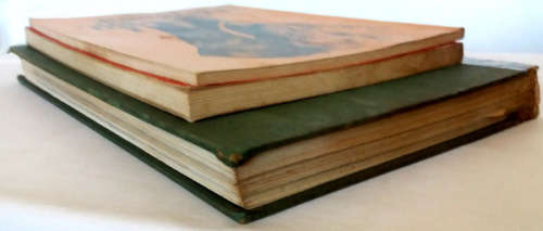 African animals, a collection of 3 books