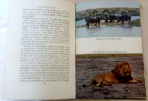 African animals, a collection of 3 books