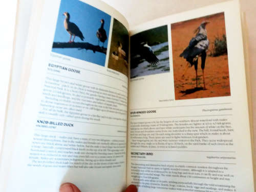 African animals, a collection of 3 books