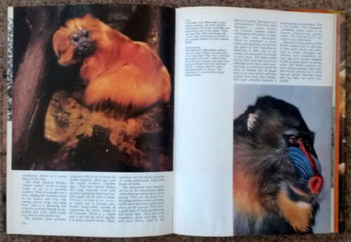 Animals of the World, Love of baby animals, Illust. Ency. of Wildlife vol 2, Frogs, Highland Birds