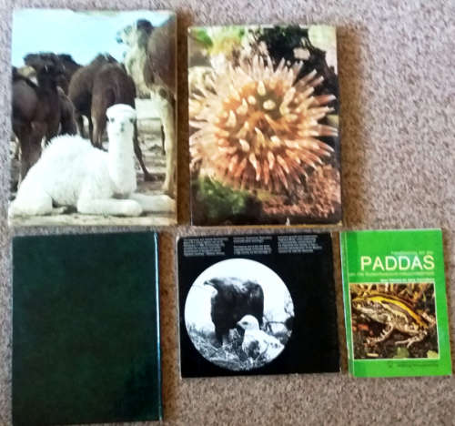 Animals of the World, Love of baby animals, Illust. Ency. of Wildlife vol 2, Frogs, Highland Birds
