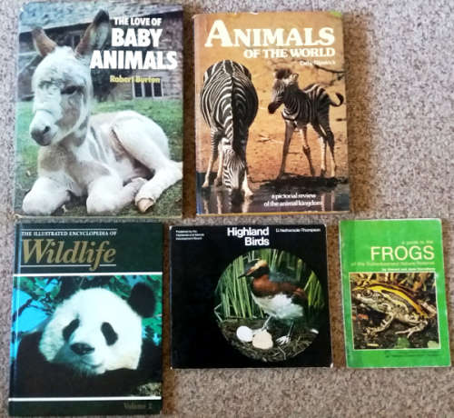 Animals of the World, Love of baby animals, Illust. Ency. of Wildlife vol 2, Frogs, Highland Birds