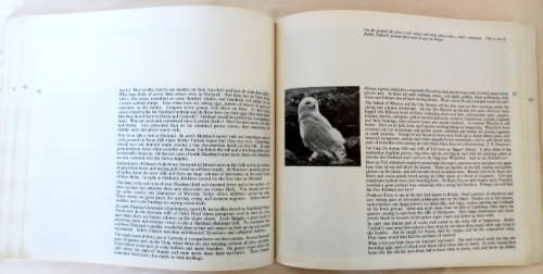 Animals of the World, Love of baby animals, Illust. Ency. of Wildlife vol 2, Frogs, Highland Birds