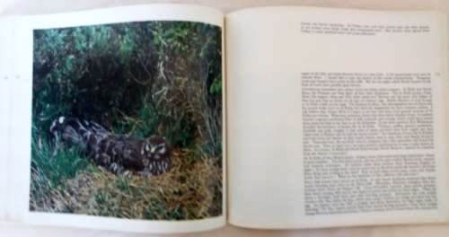Animals of the World, Love of baby animals, Illust. Ency. of Wildlife vol 2, Frogs, Highland Birds