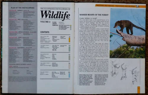 Animals of the World, Love of baby animals, Illust. Ency. of Wildlife vol 2, Frogs, Highland Birds