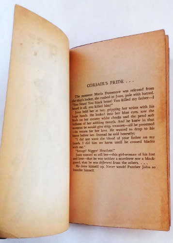 Panther John by Robert Tralins -paperback, Lancer book, 1970