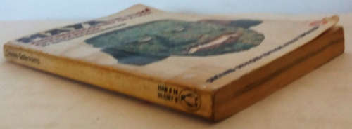 Maya The Riddle and Rediscovery of a lost civilizaton by Charles Gallenkamp
