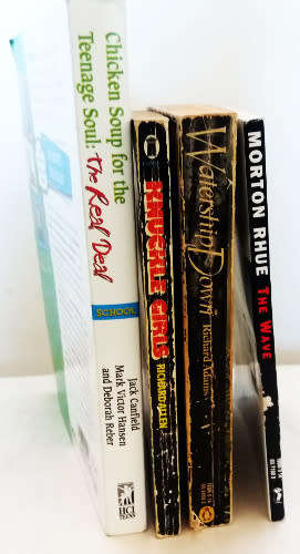 Chicken soup for the teenage soul, Knuckle girls, Watership down and The wave - 4 book bundle