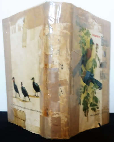 Roberts Birds of South Africa -4th edition, 3rd impression 1980
