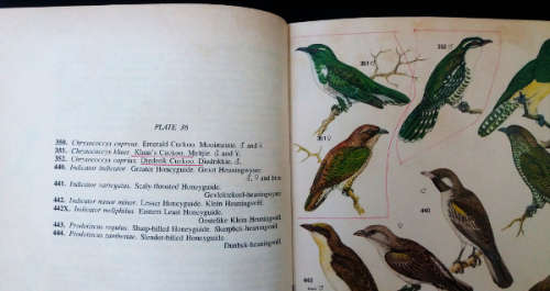 Roberts Birds of South Africa -4th edition, 3rd impression 1980
