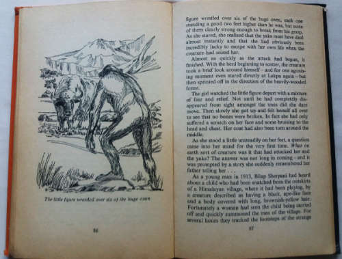 9th Ghost Book, Alfred Hitchcock Mystery Mag Vol 20 no.1 and The Hell Hound and other True Mysteries