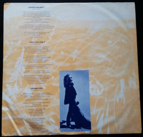 Robert Plant NOW AND ZEN LP/Vinyl