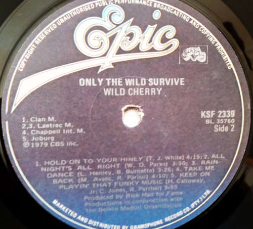 Wild Cherry - Only the wild survive vinyl lp [VG-/VG]