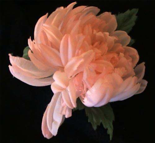 Corsage buttonhole boutonniere -pink artificial flower