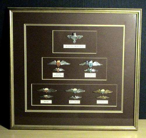 44 Valskerm Brigade Insignia collection mounted in glassed frame.