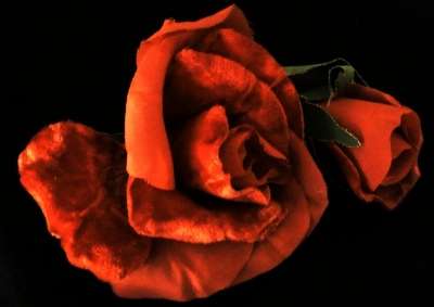 Corsage/Buttonhole/Boutonniere Red Orange - Burnt Umber Rose with Bud (Artificial Flower)