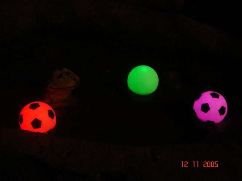 80mm floating balls for your pool party or World cup soccer - promotional item
