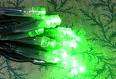 Battery LED fairy lights (GREEN) - used by florists, catering, Weddings, flower, table decorations
