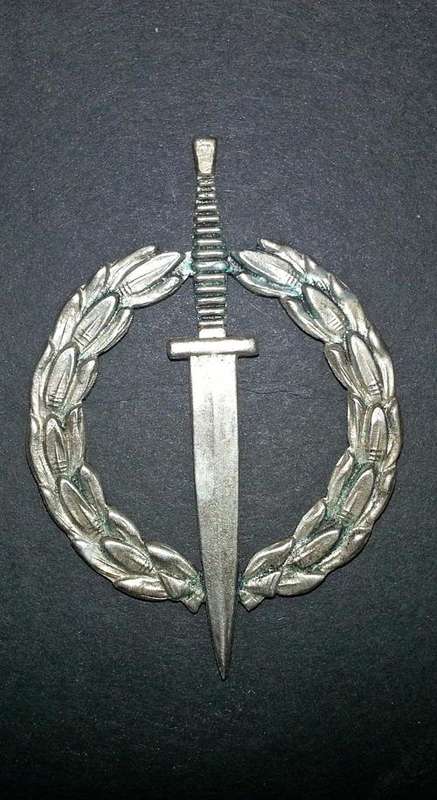RECCE Operator badge